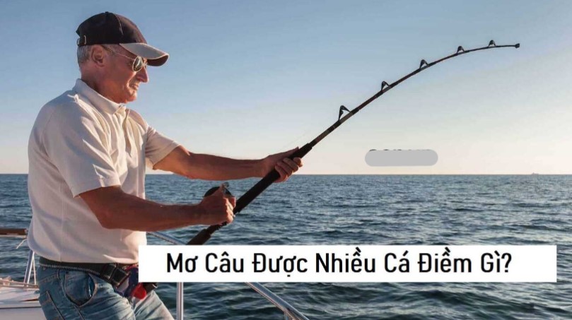 Nằm mơ thấy câu được nhiều cá có ý nghĩa gì?